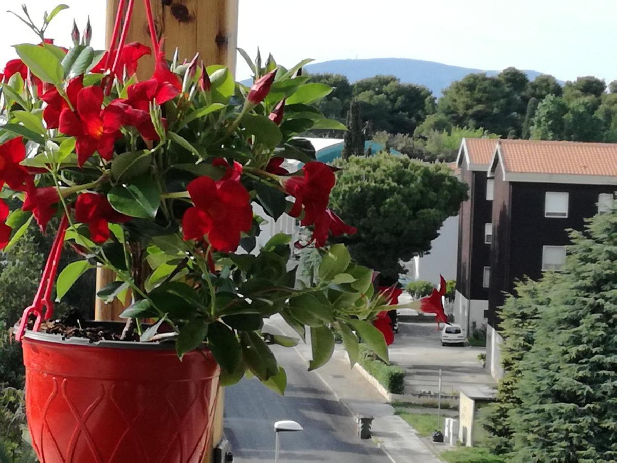 Ferienwohnung Nel Blu Dipinto Di Blu Porto Recanati Exterior foto